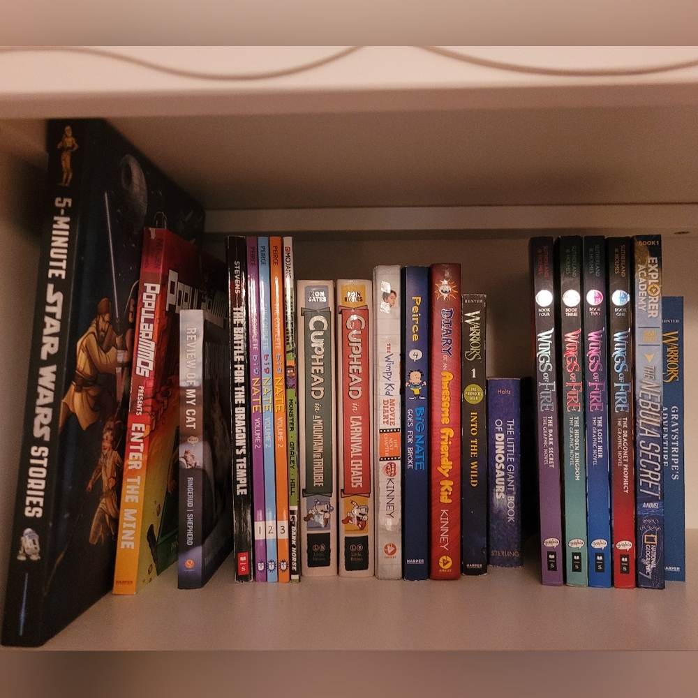 Elegant Black and Red Book Collection for Other